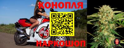 прущие грибы Моздок