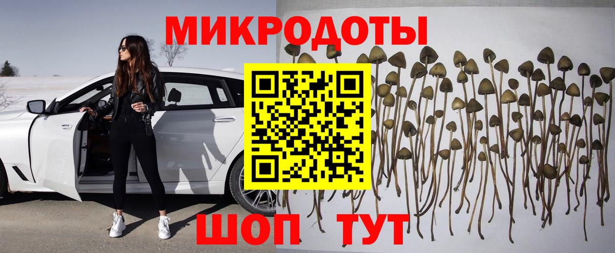 Галлюциногенные грибы прущие грибы Верхняя Салда