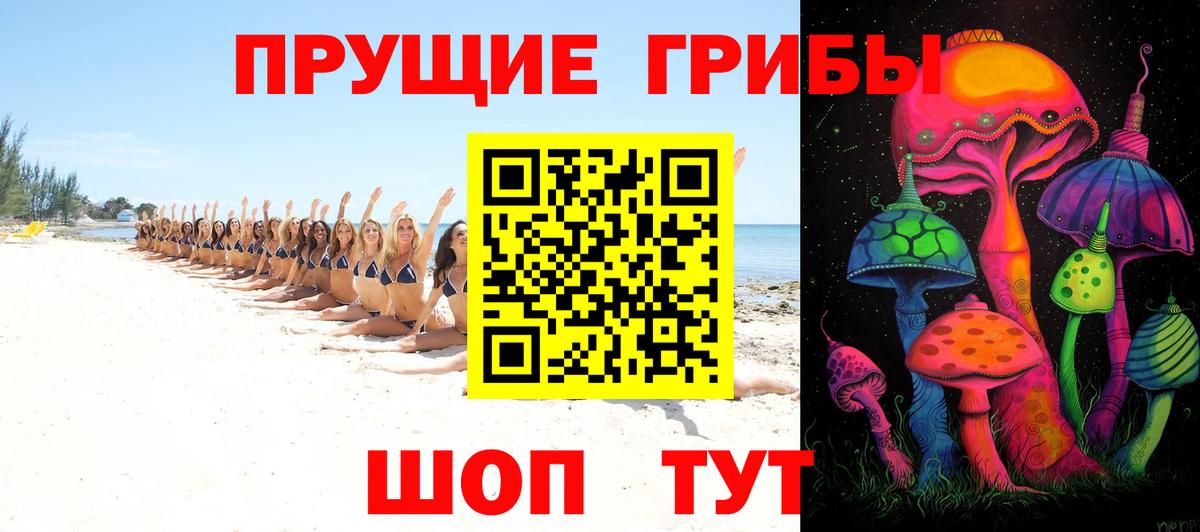 Верхняя Салда  Псилоцибиновые грибы GOLDEN TEACHER  сколько стоит  Вход с VPN 